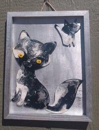 Midnight Cat
