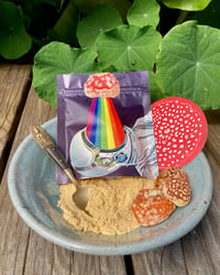 Image 1 of Amanita Muscaria Dried Cap Powder