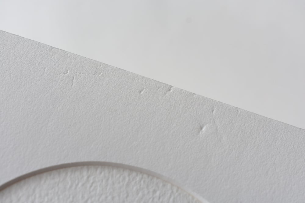 Image of Lichen specimen - Sample sale