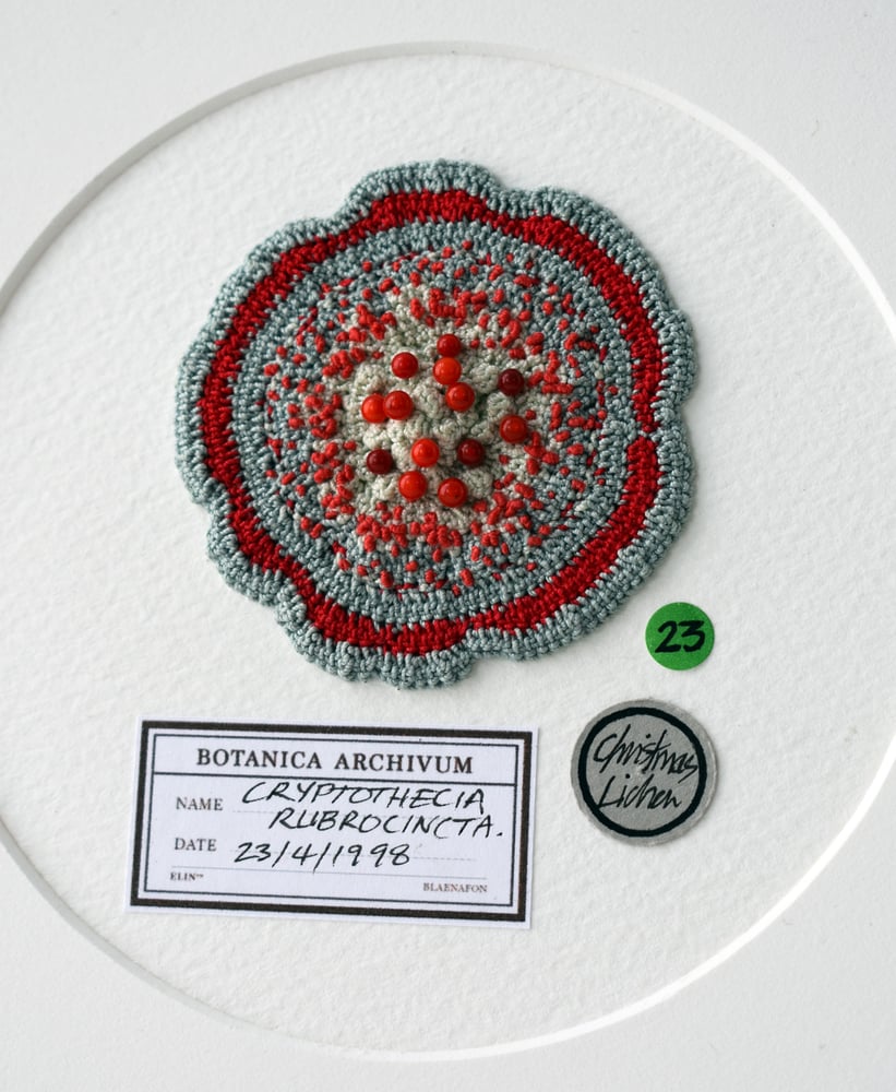 Image of Lichen specimen - Sample sale