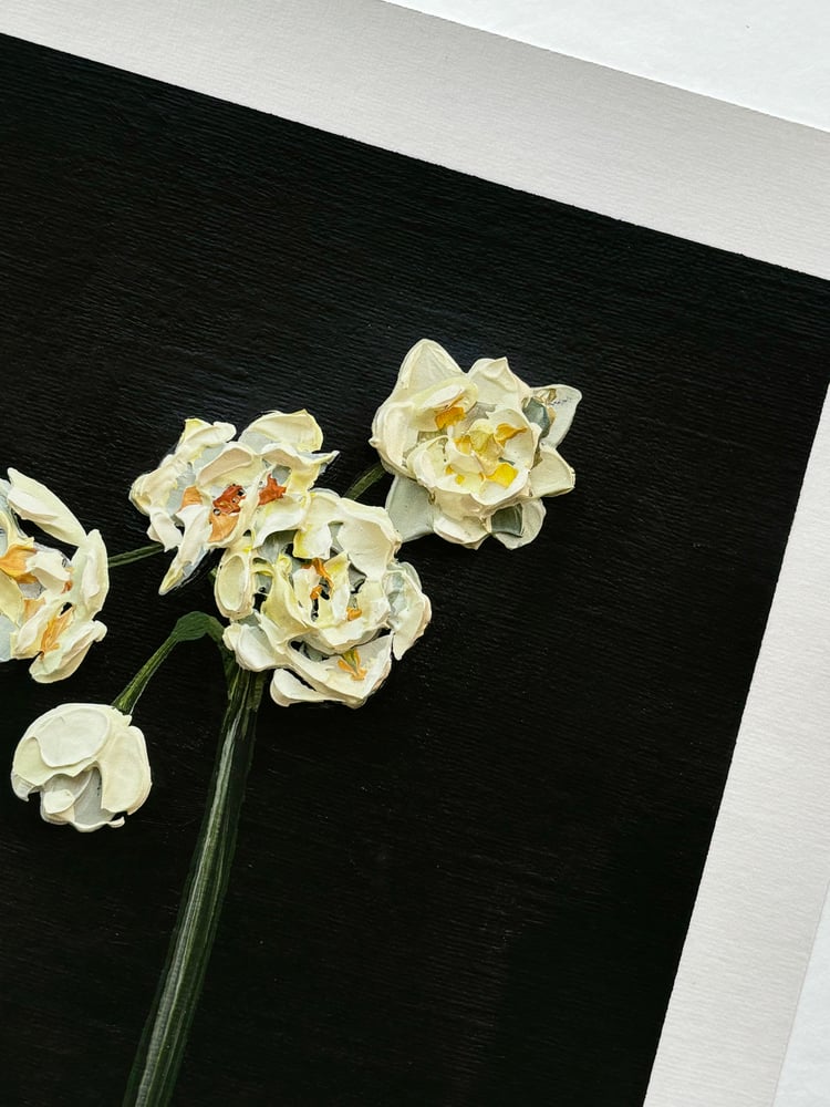 Image of NARCISSUS SIR WINSTON CHURCHILL - GICLÉE PRINT 