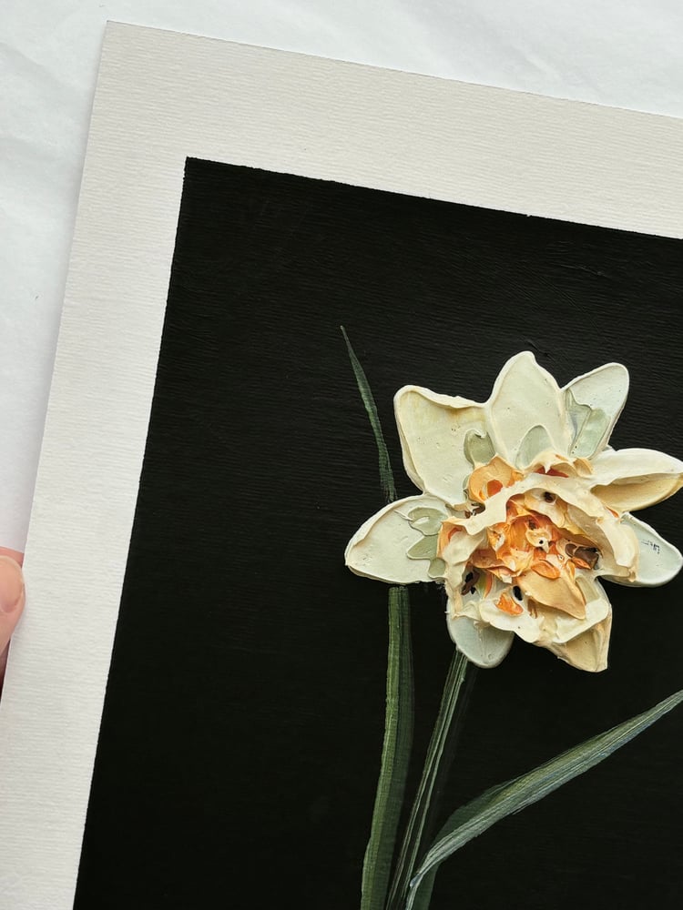 Image of NARCISSUS PEACH COBBLER - GICLÉE PRINT