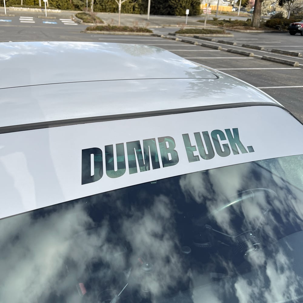 Dumb Łuck [Sun strip banner]