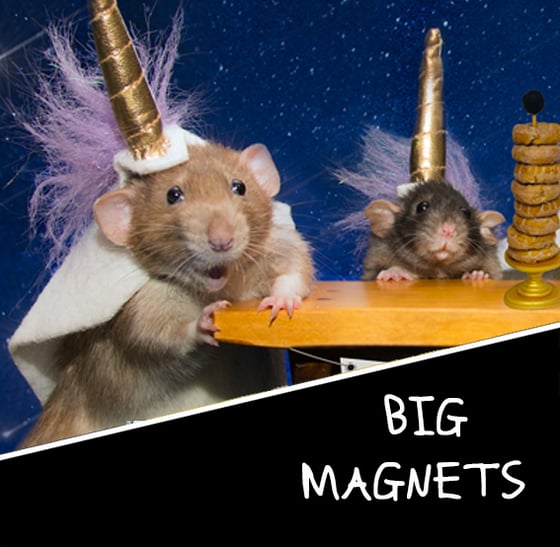 Image of BIG Magnets  