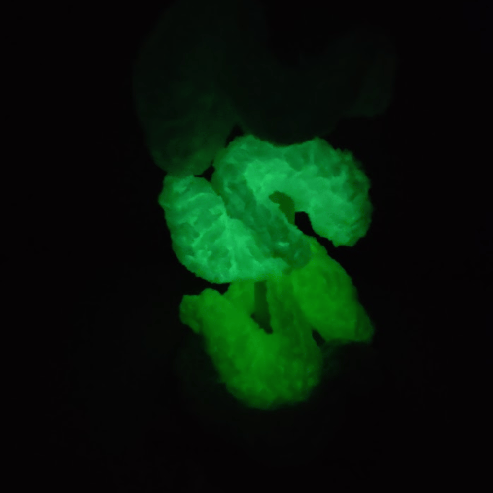 Image of Glow in the Dark Chenille Green Scrunchies (Pair)