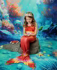 Image 2 of Mermaid Mini Sessions - Sunday, May 18th
