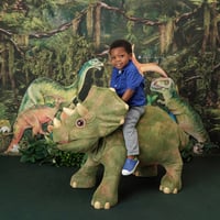 Image 1 of Dinosaur Mini Sessions - Sunday, May 25th