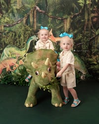 Image 3 of Dinosaur Mini Sessions - Sunday, May 25th