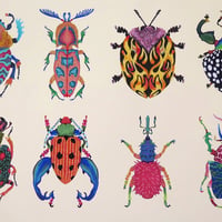 Image 1 of Beetle Swarm