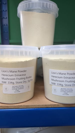 Image of Lion's Mane Powder (Free Shipping)