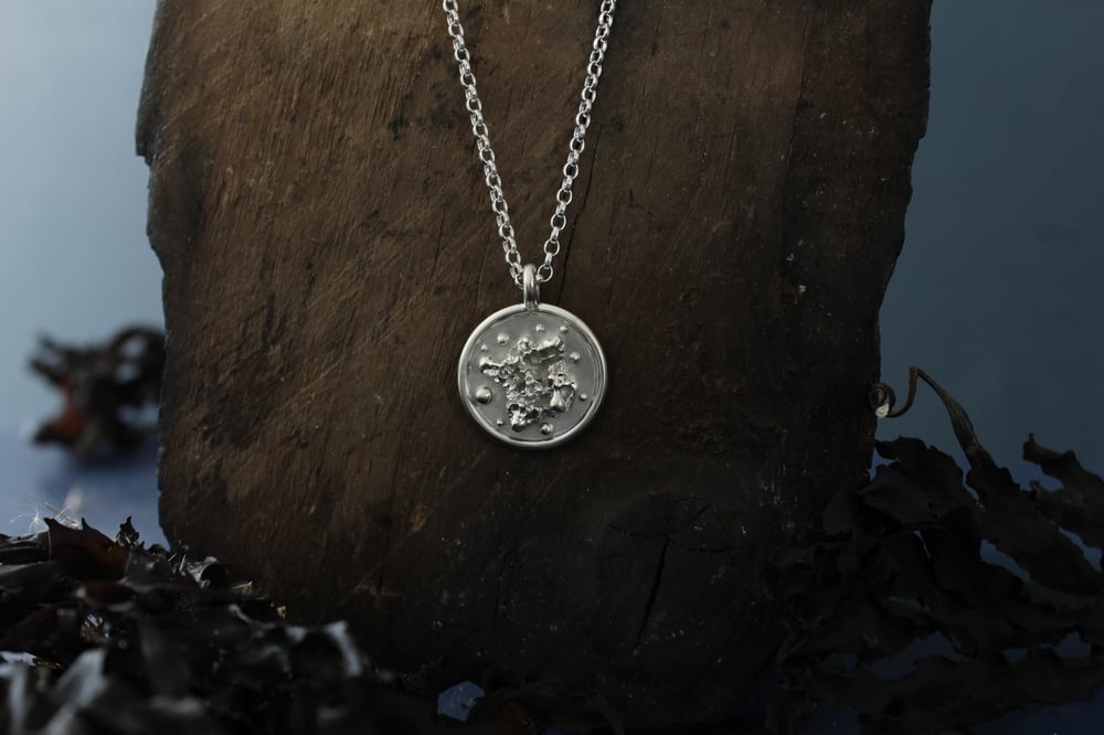 Image of Microcosm pendant (small)