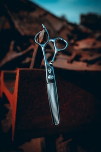 Image 1 of NIGARA  T-40 6"  entresacado 