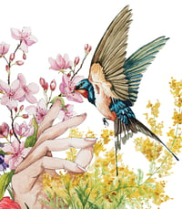 Image 2 of Printemps, aquarelle florale et hirondelle