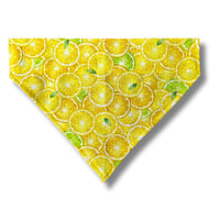 Image 1 of Lemon Bandana