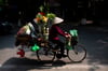 Flower seller in Hanoi