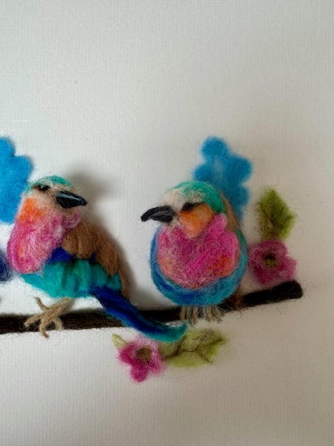 Image of Beautiful Birds