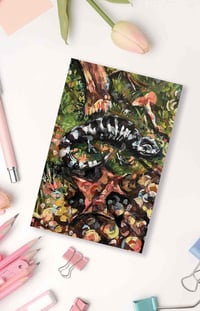 Notecard of A Light Drizzle – salamander notecard
