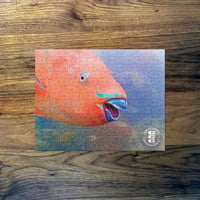 Image 1 of Coral City Camera Rainbow Parrotfish Puzzle