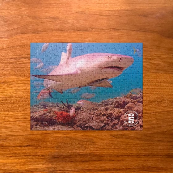 Image of Coral City Camera Lemon Shark Puzzle