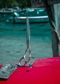 Image 1 of The FUKAI 7" 