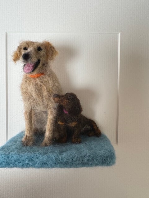 Image of Monty & Muffin
