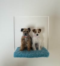 Image 1 of Bernard & Poppy