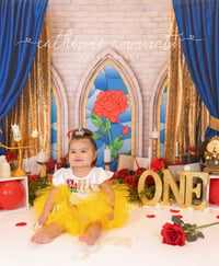 Image 6 of First Birthday (Cake Smash) Session $250.00 
