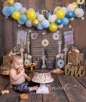 Image of First Birthday (Cake Smash) Session $250.00 - email me to book.
