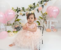 Image 12 of First Birthday (Cake Smash) Session $250.00 
