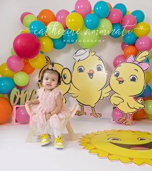 Image of First Birthday (Cake Smash) Session $250.00 - email me to book.