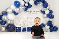 Image 15 of First Birthday (Cake Smash) Session $250.00 
