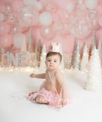 Image 16 of First Birthday (Cake Smash) Session $250.00 