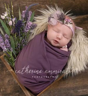 Image of Newborn session Info - Packages to choose from 2025