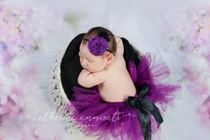 Image of Newborn session Info - Packages to choose from 2025