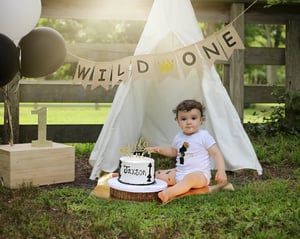 Image of First Birthday (Cake Smash) Session $250.00 - email me to book.