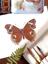 Image 3 of Common Buckeye ORIGINAL ARTWORK 