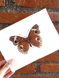 Image 4 of Common Buckeye ORIGINAL ARTWORK 