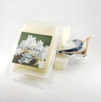Image 3 of Cotton & Iris