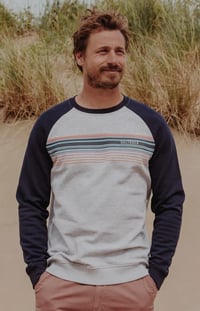 Image 3 of Saltrock retro stripe sweatshirt 