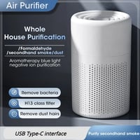 Air Purifier HEPA Filter Deodorizer Negative Ion Remover Formaldehyde Smoke Portable Car Air Cleaner