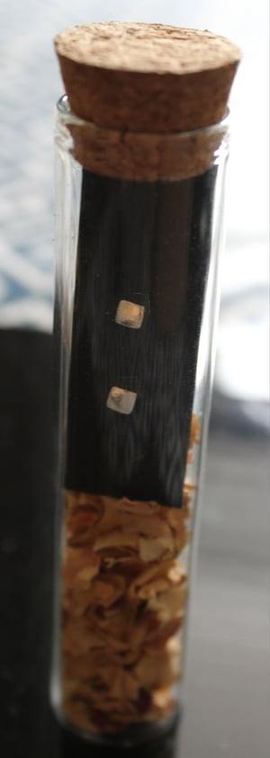 Image of Cube Stud Earrings
