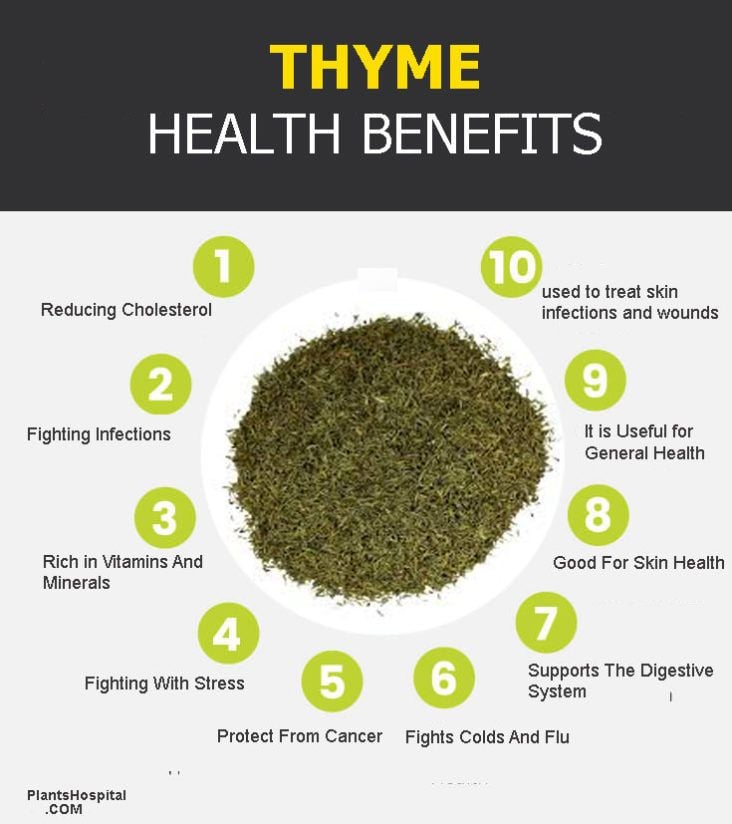 About Thyme!