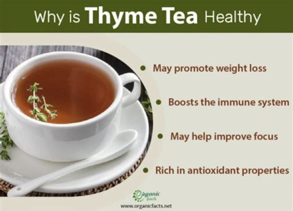 About Thyme!