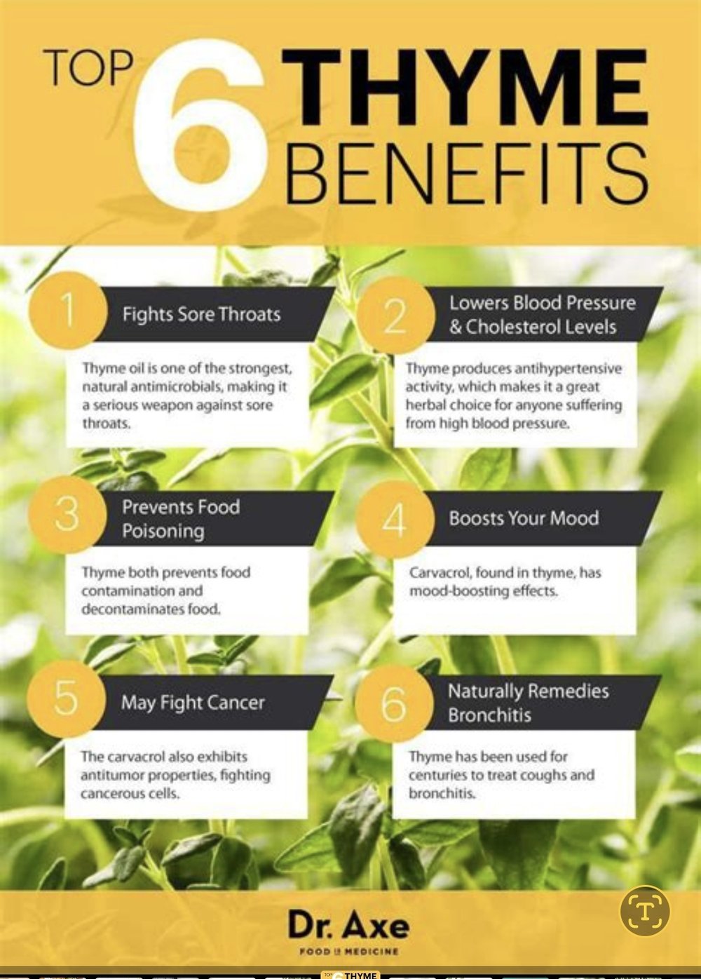 About Thyme!