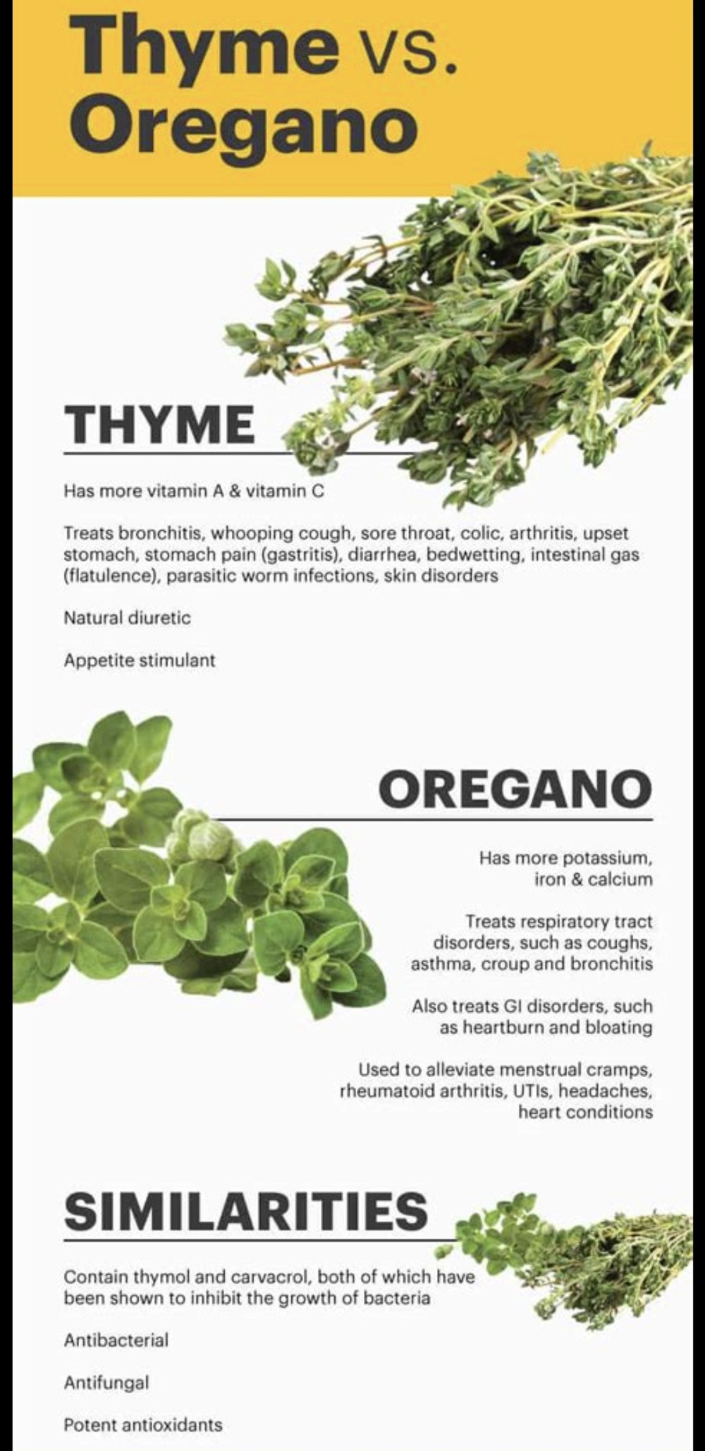 About Thyme!
