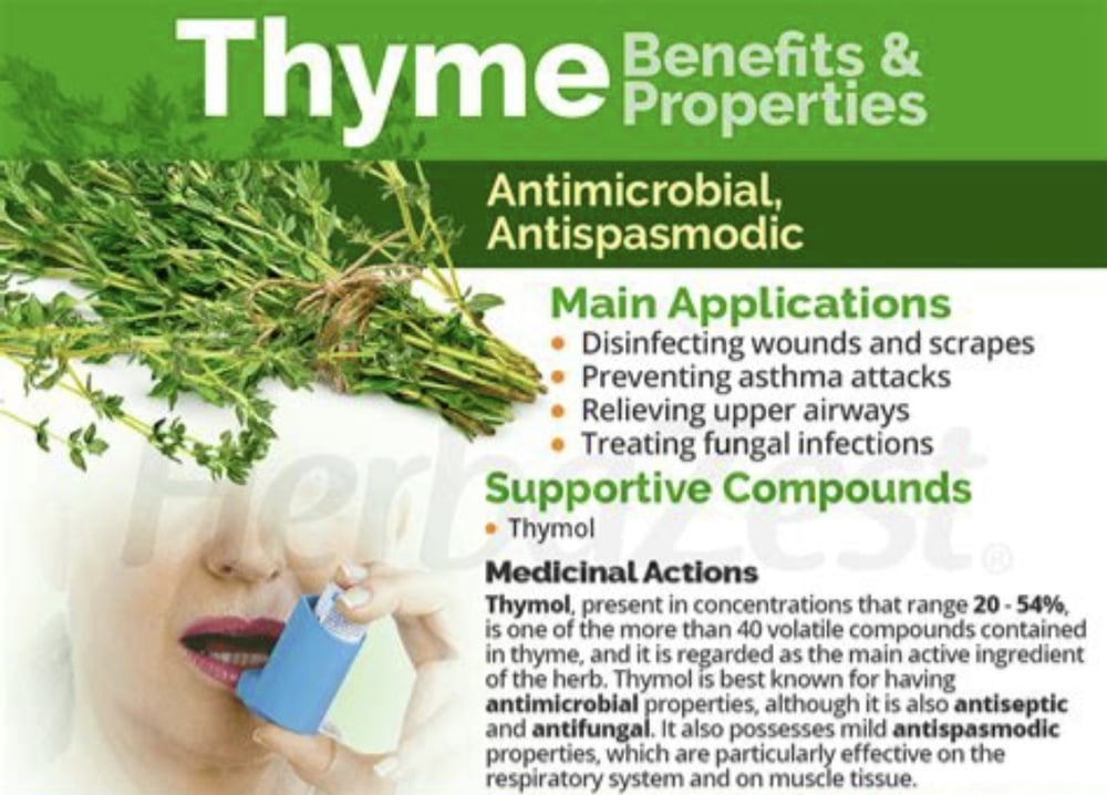 About Thyme!