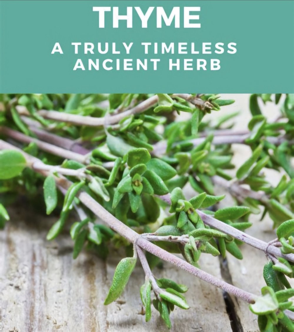 About Thyme!
