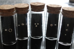 Image of Mix & Match Small Stud Earrings