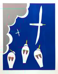Image 1 of Three Gulls on a Velux