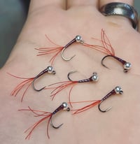 Image 3 of Perdiworms